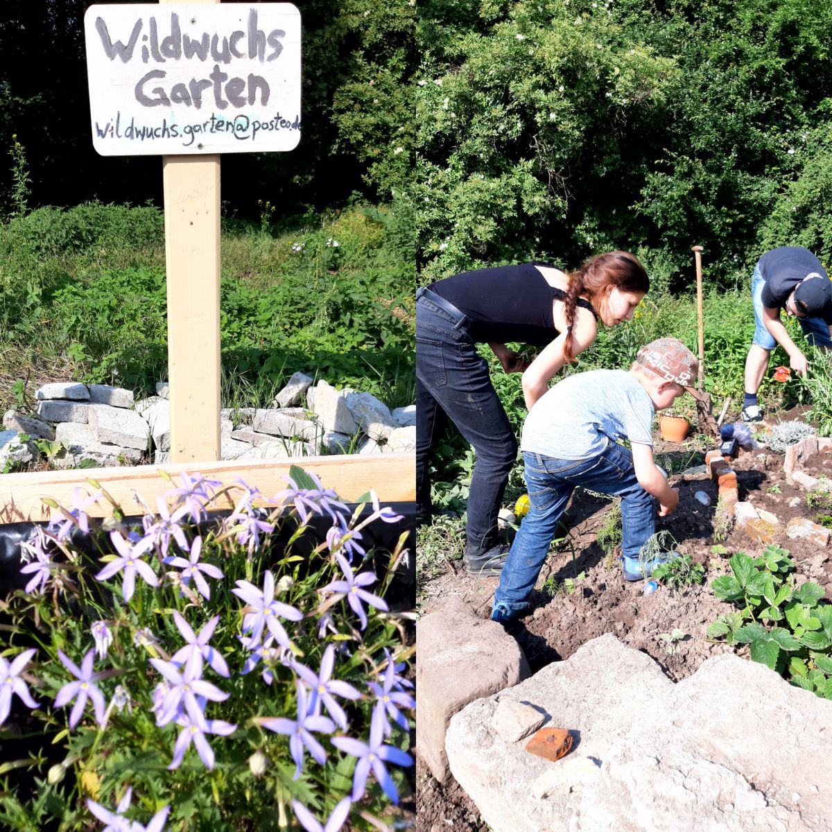 Wildwuchsgarten mit Blumen und Menschen beim Gärtnern