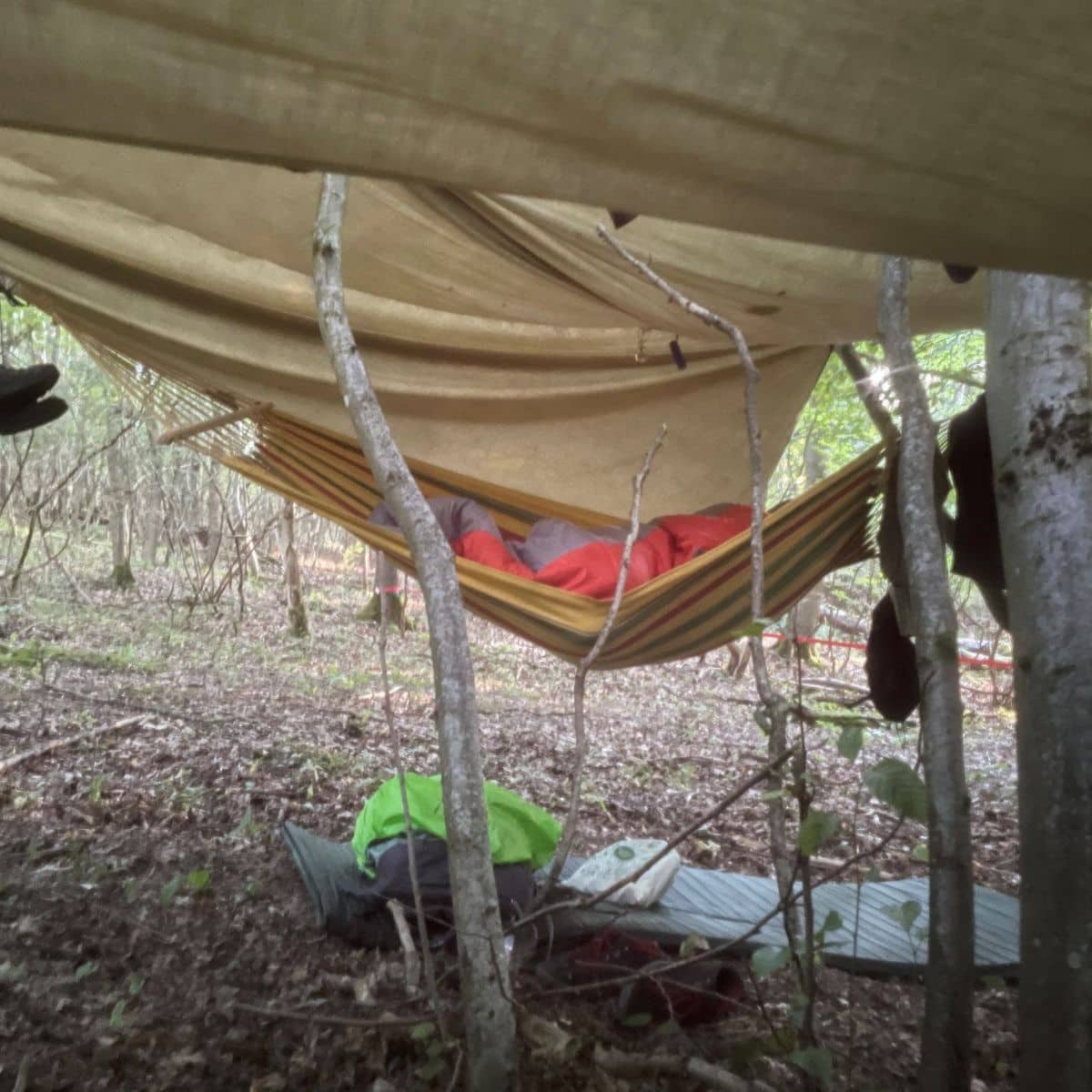 Hängematte zwischen Bäumen im Waldcamping