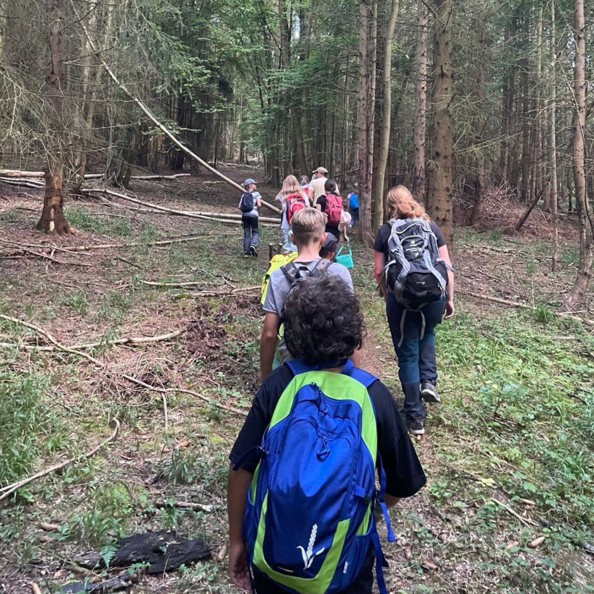 Kinder wandern durch einen Waldpfad.