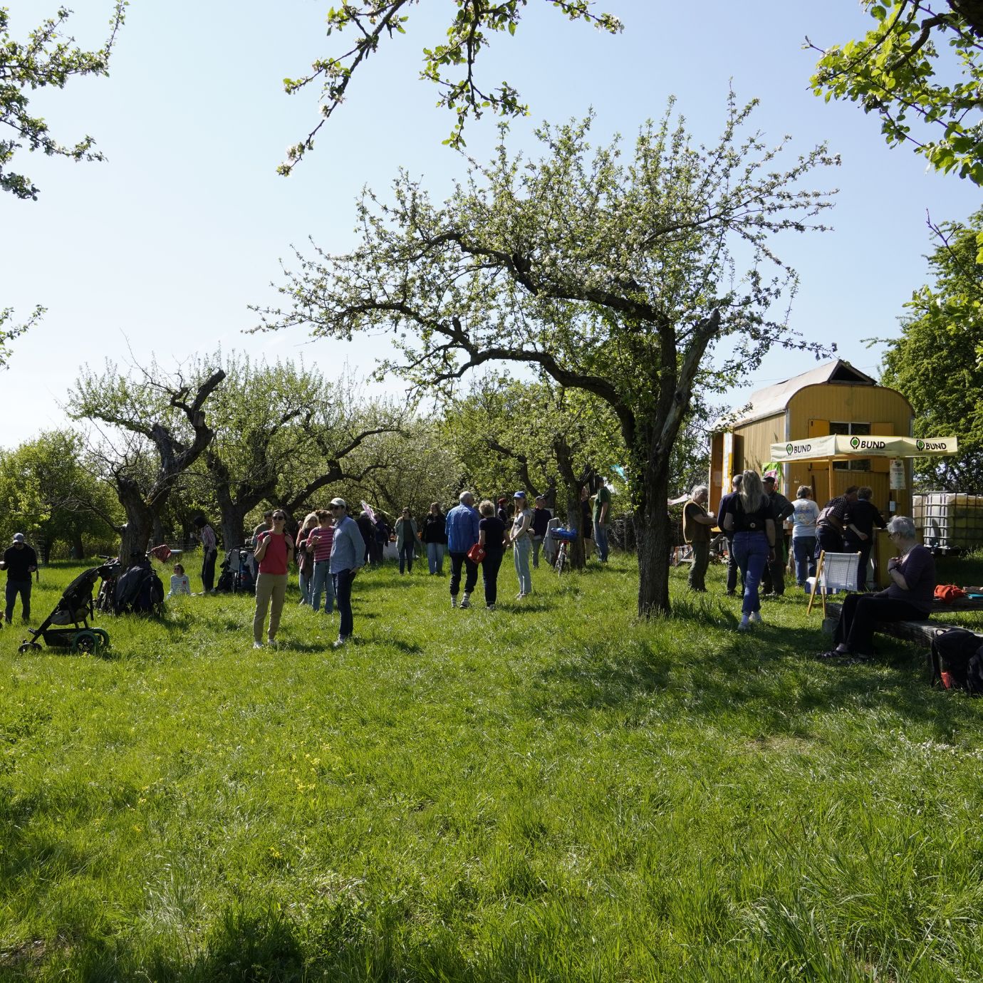 Menschen sammeln sich auf einer grünen Wiese mit Bäumen.