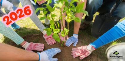 Menschen pflanzen Baum, 2026, Handschuhe