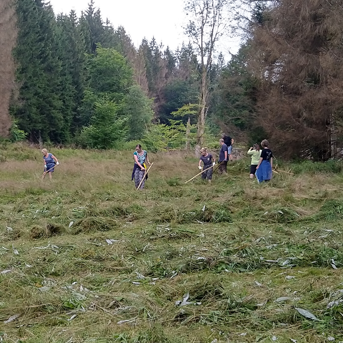 Gruppe von Menschen mäht Wiese manuell
